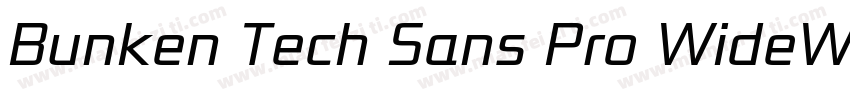 Bunken Tech Sans Pro WideW01SB字体转换